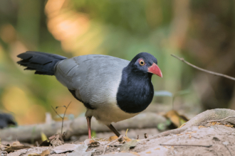 aa1xnaou.jpg